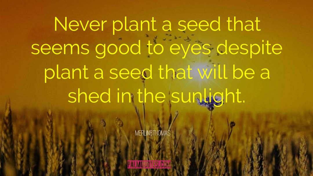 Plant A Seed quotes by Merlin8thomas