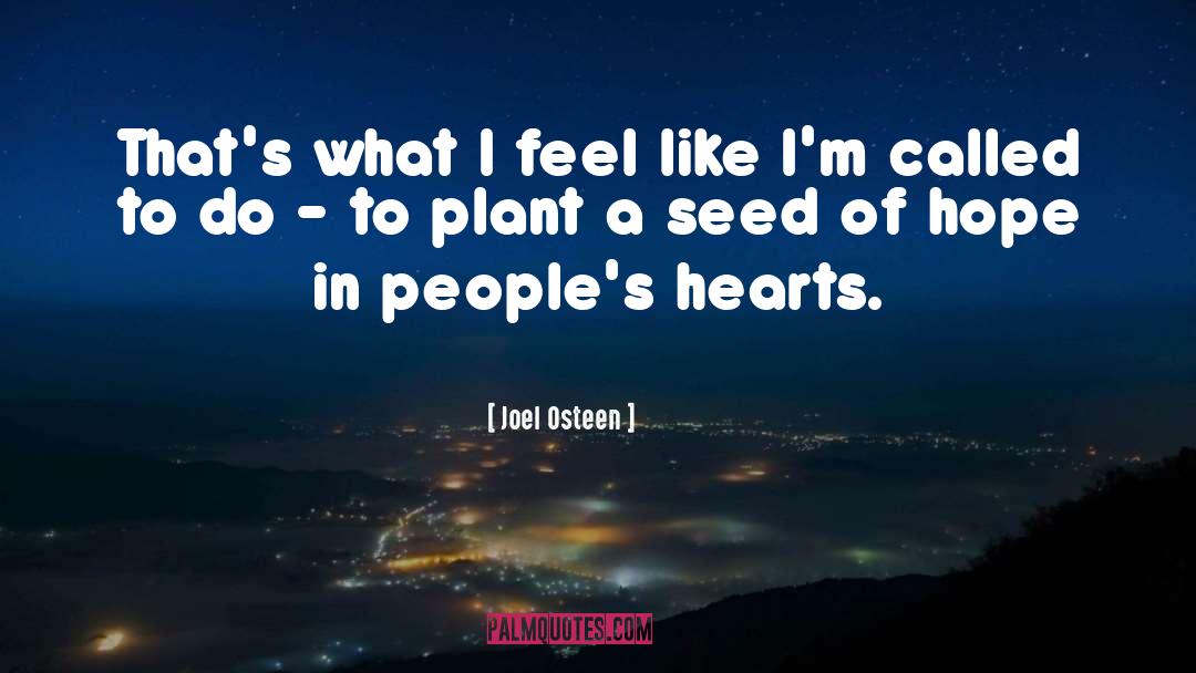 Plant A Seed quotes by Joel Osteen