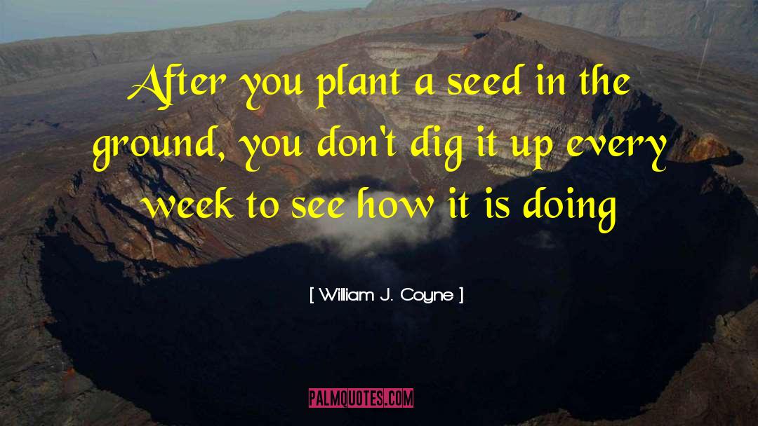 Plant A Seed quotes by William J. Coyne