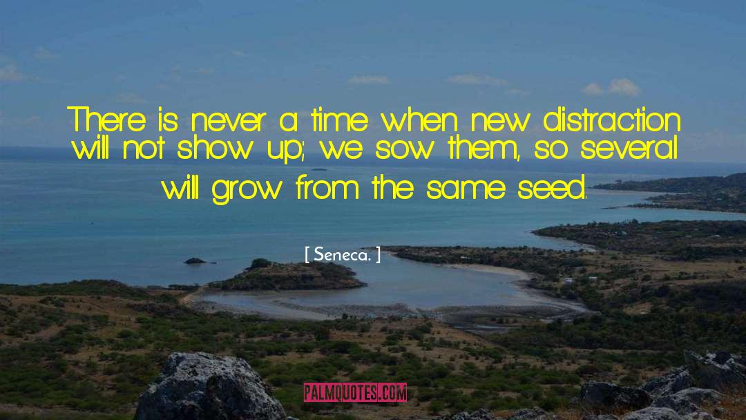 Plant A Seed quotes by Seneca.