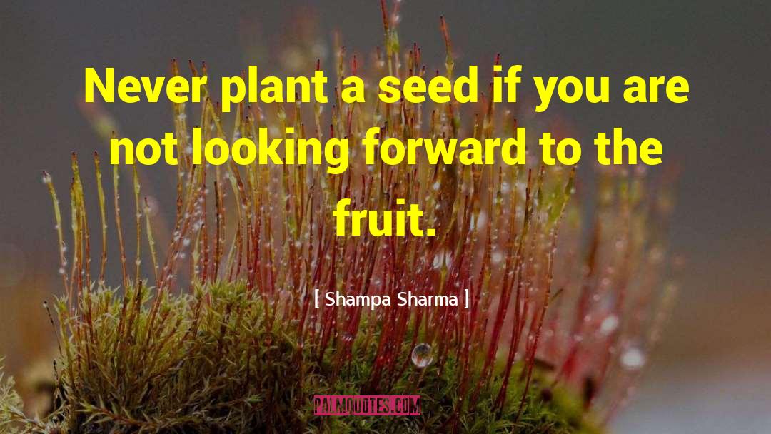 Plant A Seed quotes by Shampa Sharma