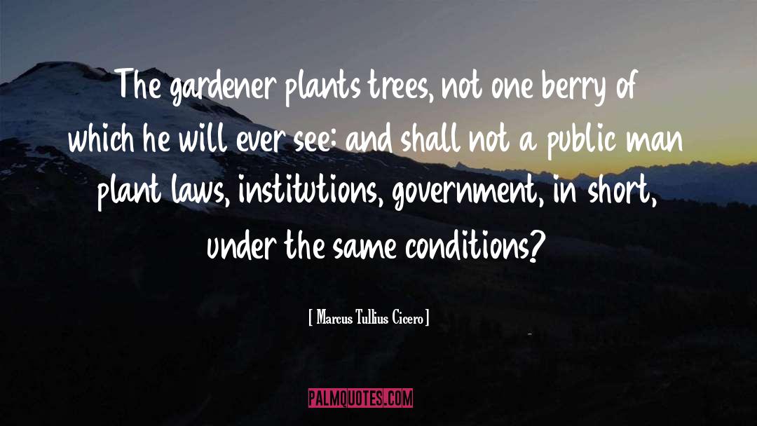 Plant A Tree quotes by Marcus Tullius Cicero