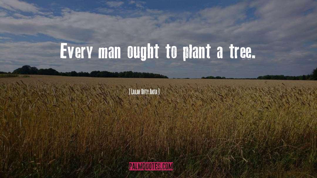 Plant A Tree quotes by Lailah Gifty Akita