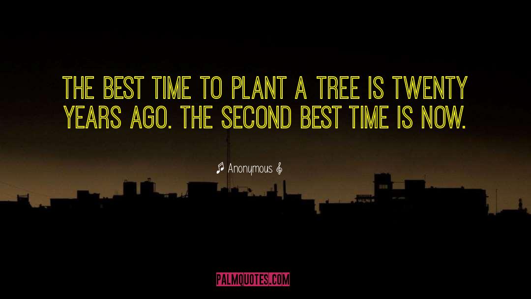 Plant A Tree quotes by Anonymous