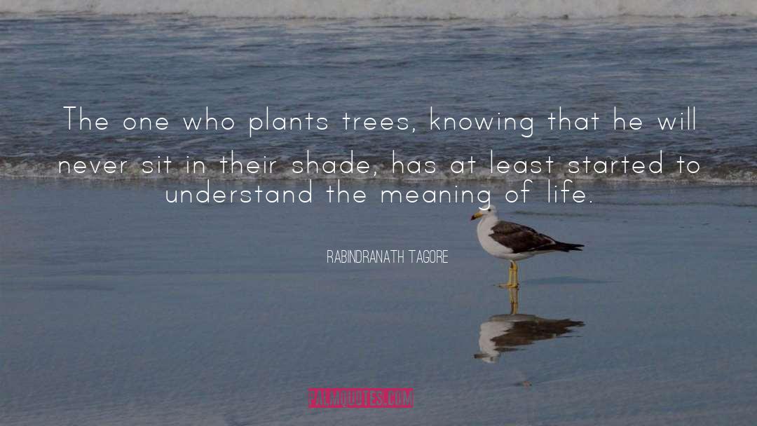 Plant A Tree quotes by Rabindranath Tagore