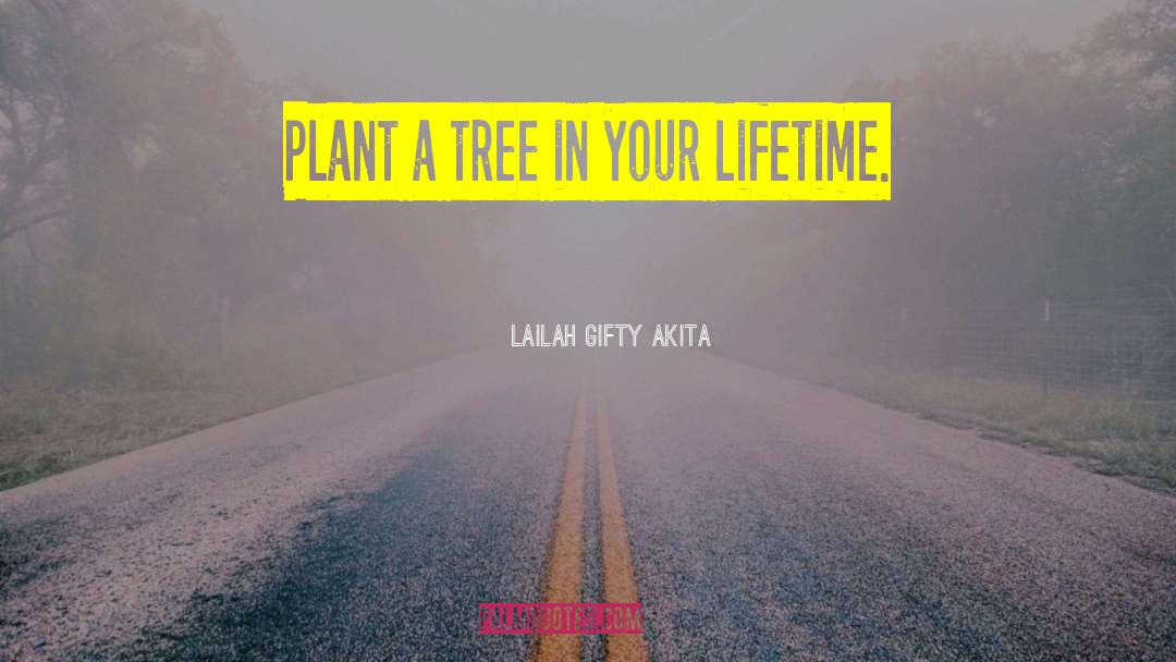 Plant A Tree quotes by Lailah Gifty Akita