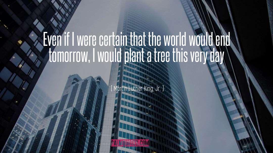 Plant A Tree quotes by Martin Luther King, Jr.