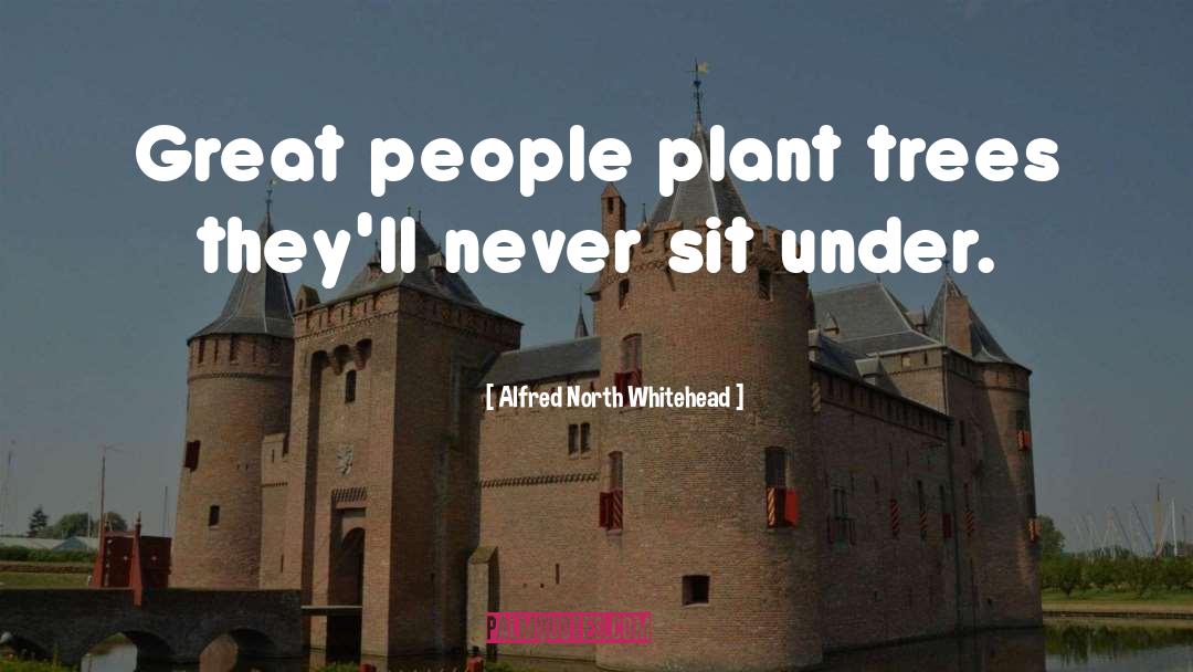 Plant A Tree quotes by Alfred North Whitehead