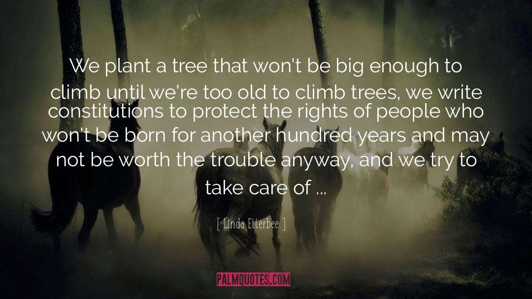 Plant A Tree quotes by Linda Ellerbee