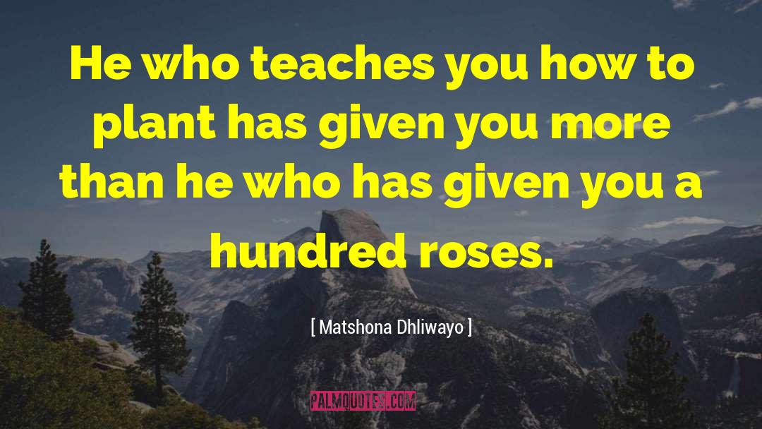 Plant Collecting quotes by Matshona Dhliwayo