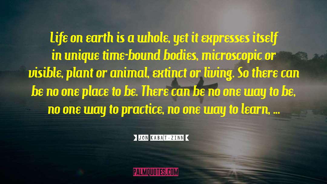Plant Collecting quotes by Jon Kabat-Zinn