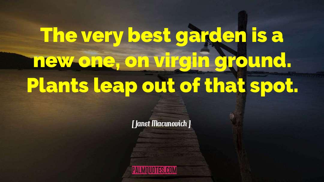 Plant Fertilization quotes by Janet Macunovich