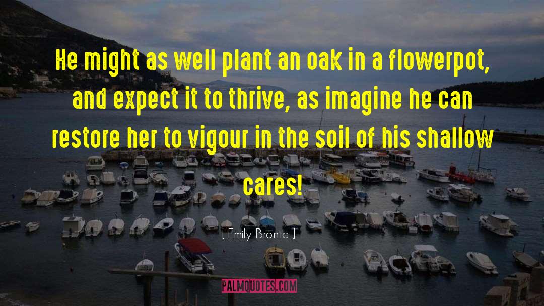 Plant Fertilization quotes by Emily Bronte