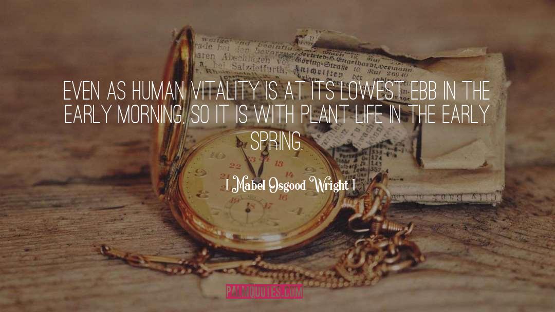 Plant Life quotes by Mabel Osgood Wright