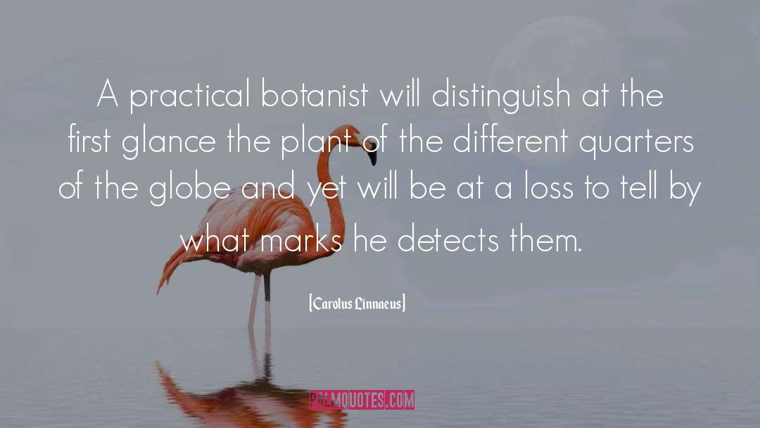Plant quotes by Carolus Linnaeus