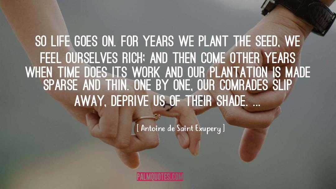 Plantation quotes by Antoine De Saint Exupery