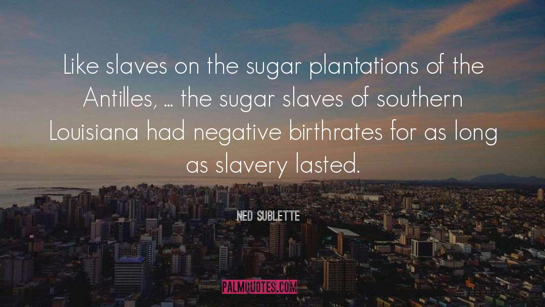 Plantations quotes by Ned Sublette