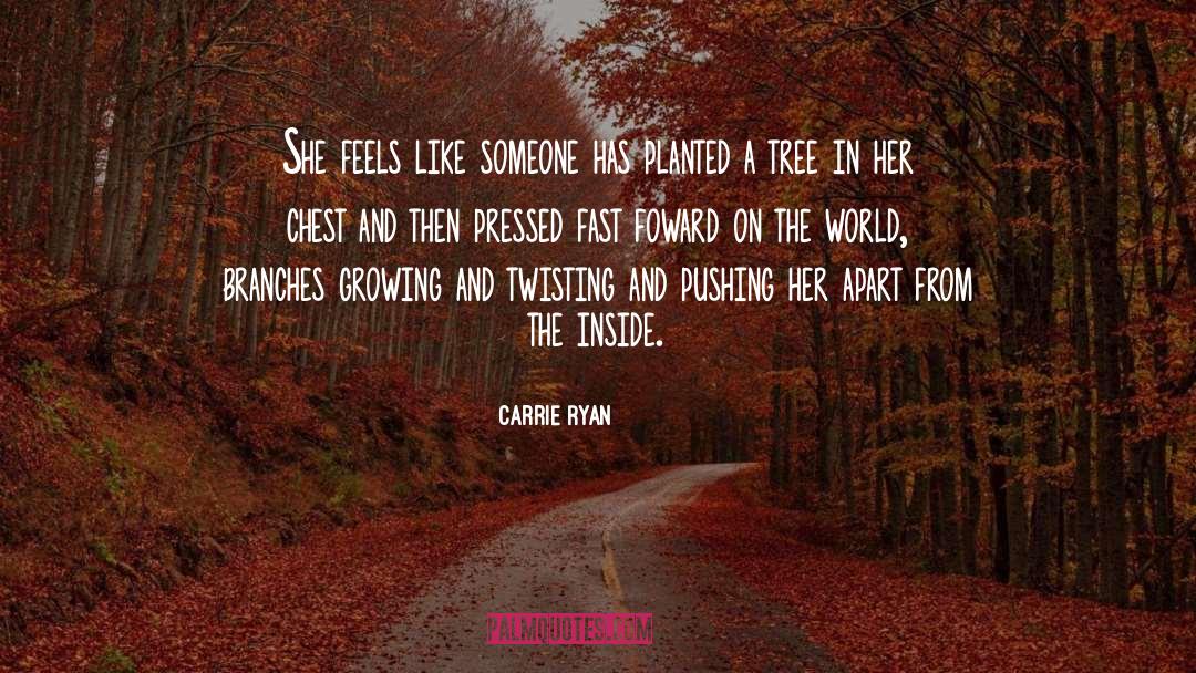 Planted quotes by Carrie Ryan