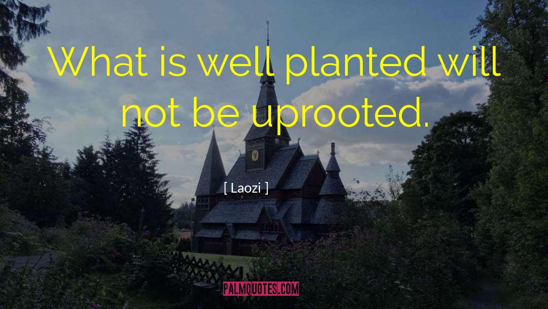 Planted quotes by Laozi