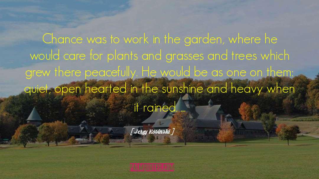 Plantei Garden quotes by Jerzy Kosinski