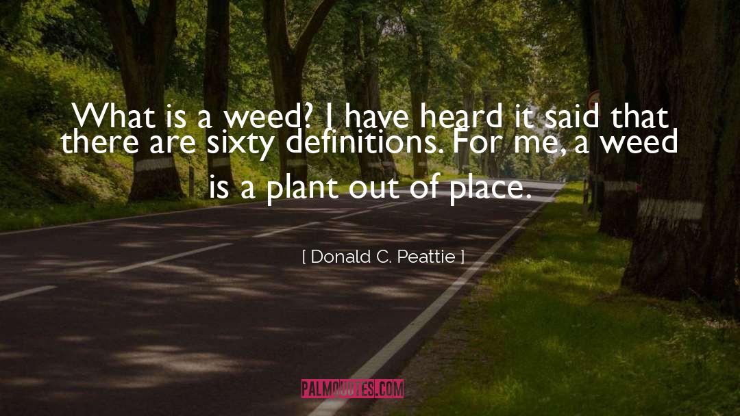 Planting A Garden quotes by Donald C. Peattie