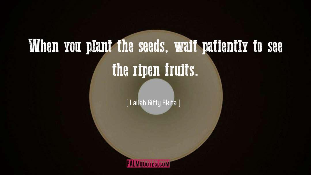 Planting A Seed quotes by Lailah Gifty Akita