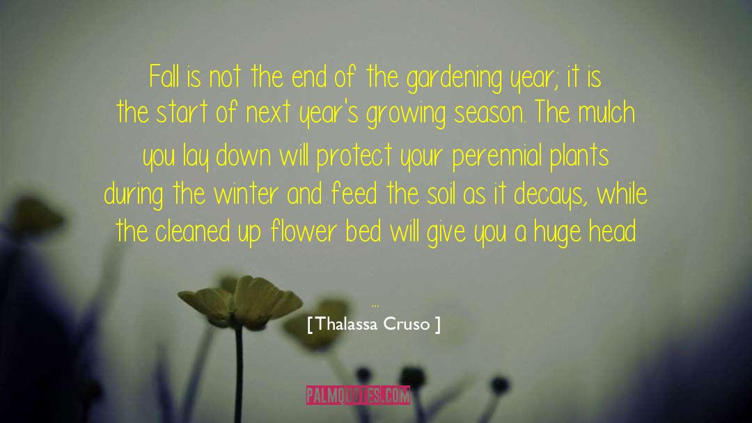 Planting A Seed quotes by Thalassa Cruso