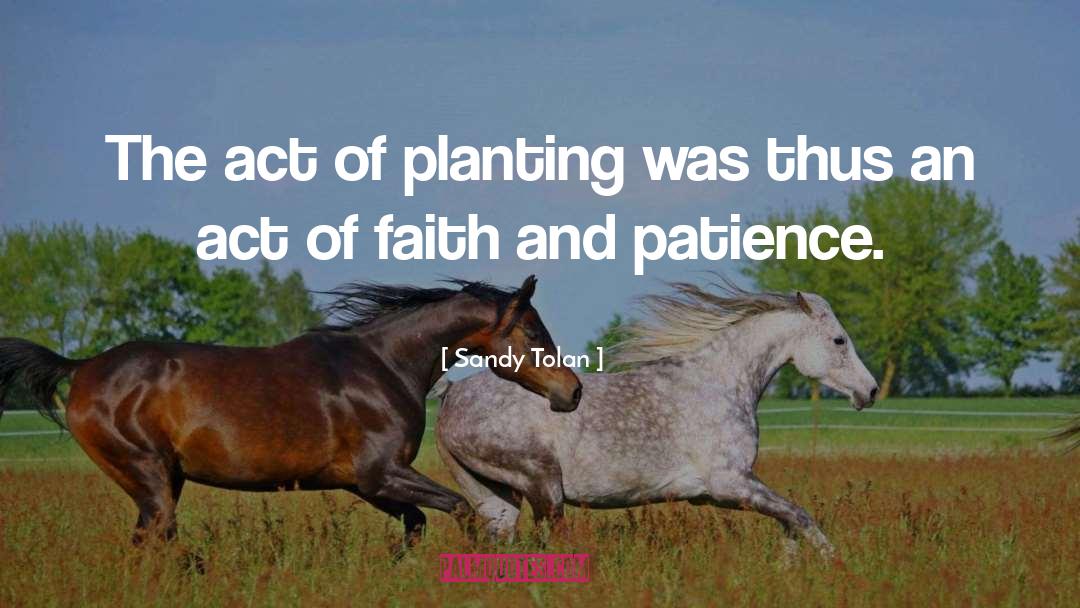 Planting Seeds quotes by Sandy Tolan