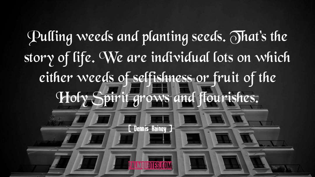 Planting Seeds quotes by Dennis Rainey