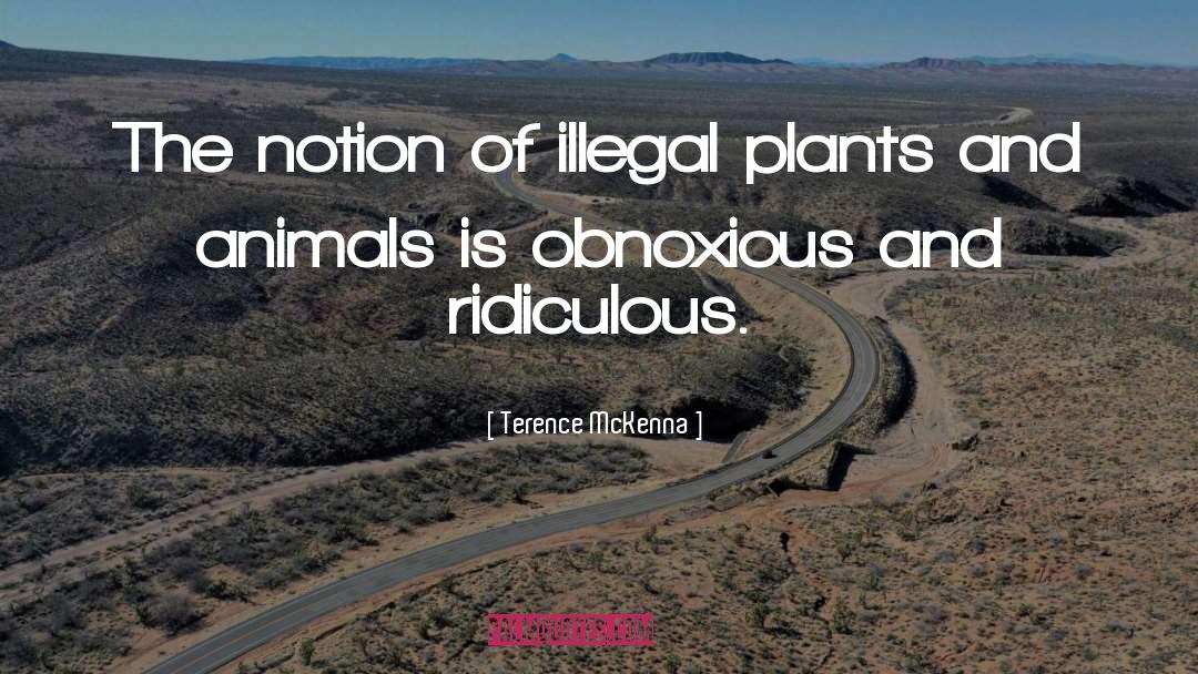 Plants And Animals quotes by Terence McKenna