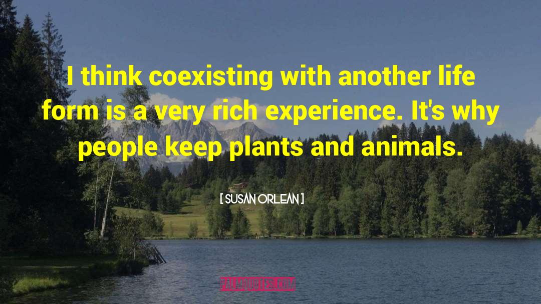 Plants And Animals quotes by Susan Orlean