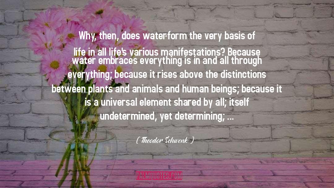 Plants And Animals quotes by Theodor Schwenk