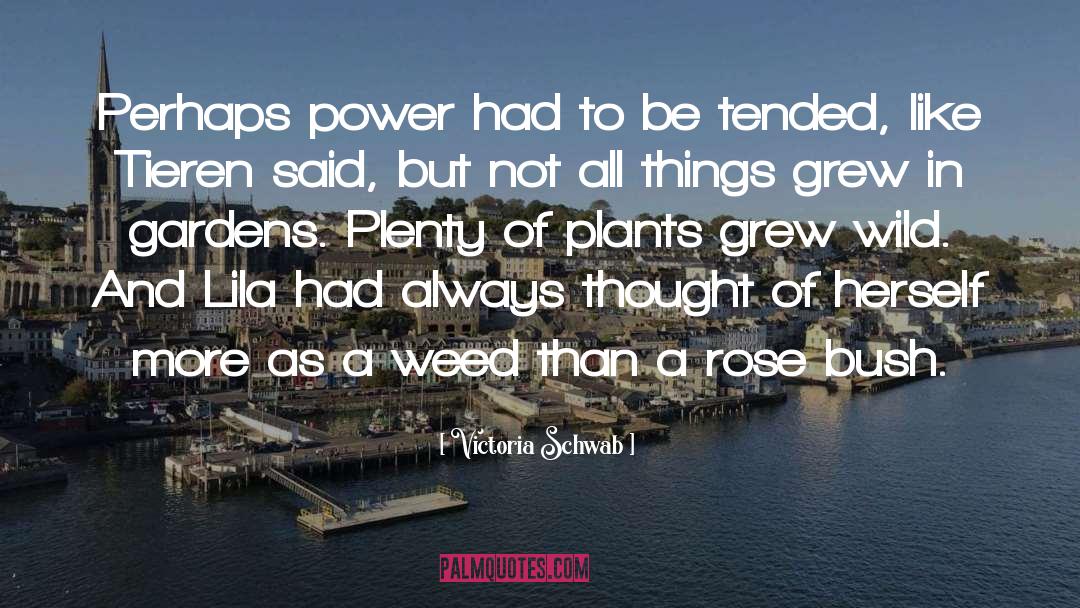 Plants And Flowers quotes by Victoria Schwab