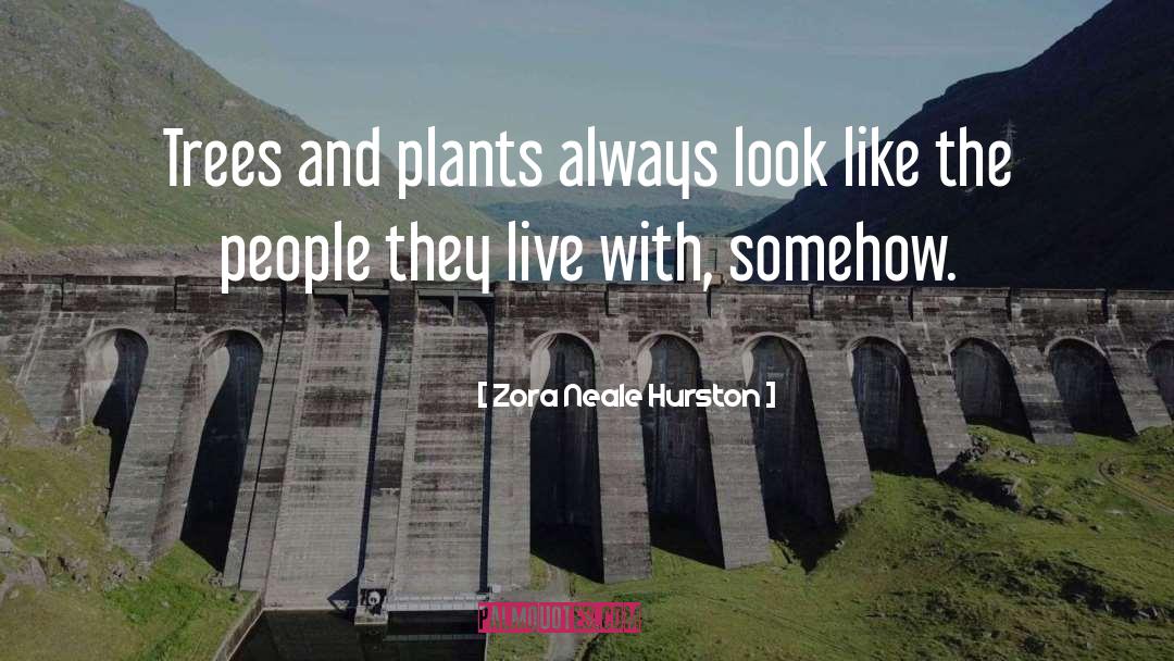 Plants And Life quotes by Zora Neale Hurston