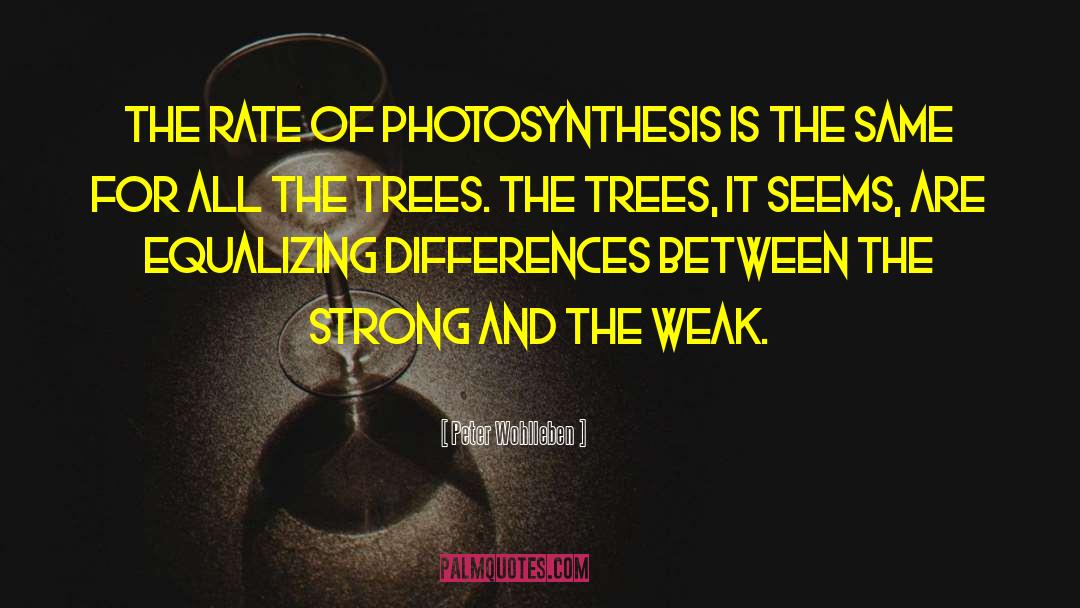 Plants And Trees quotes by Peter Wohlleben
