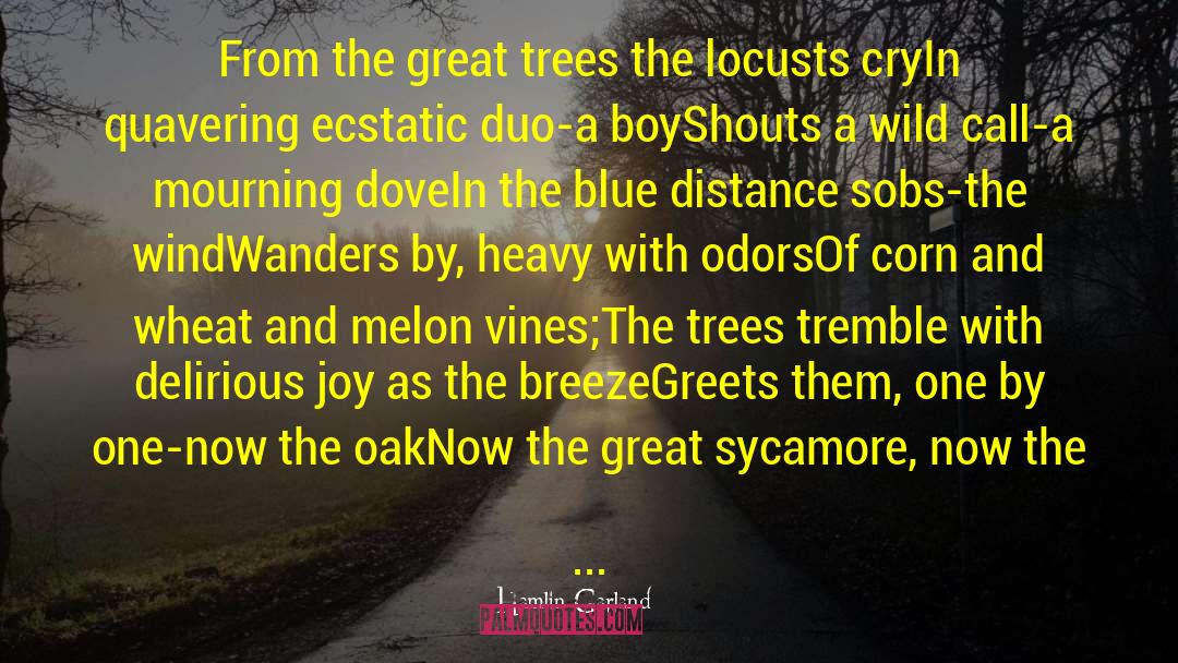 Plants And Trees quotes by Hamlin Garland