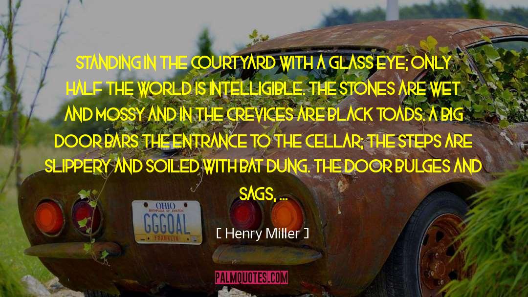 Plantsman Corner quotes by Henry Miller