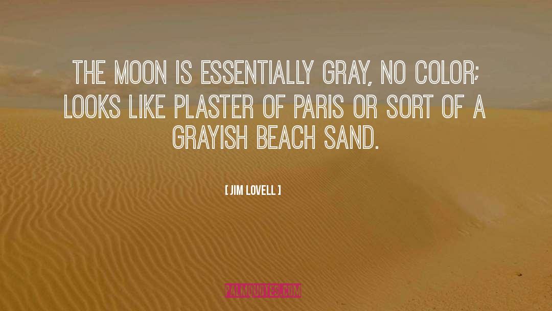 Plasters quotes by Jim Lovell