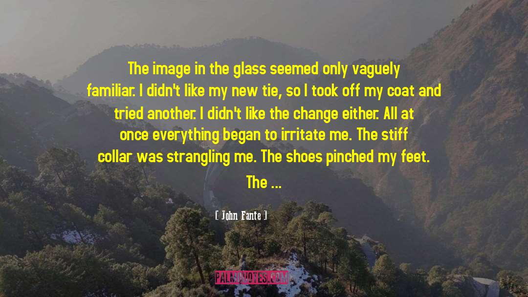 Plastic Image quotes by John Fante