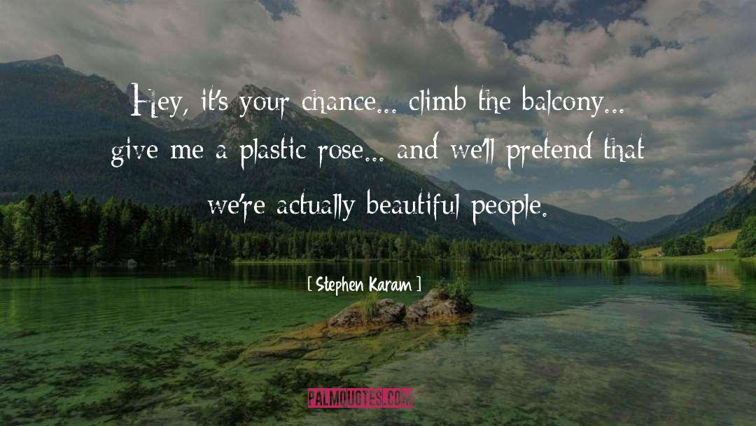 Plastic Surgeon quotes by Stephen Karam