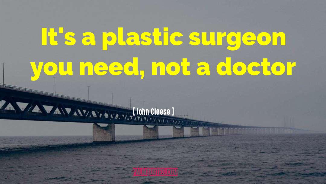 Plastic Surgeon quotes by John Cleese
