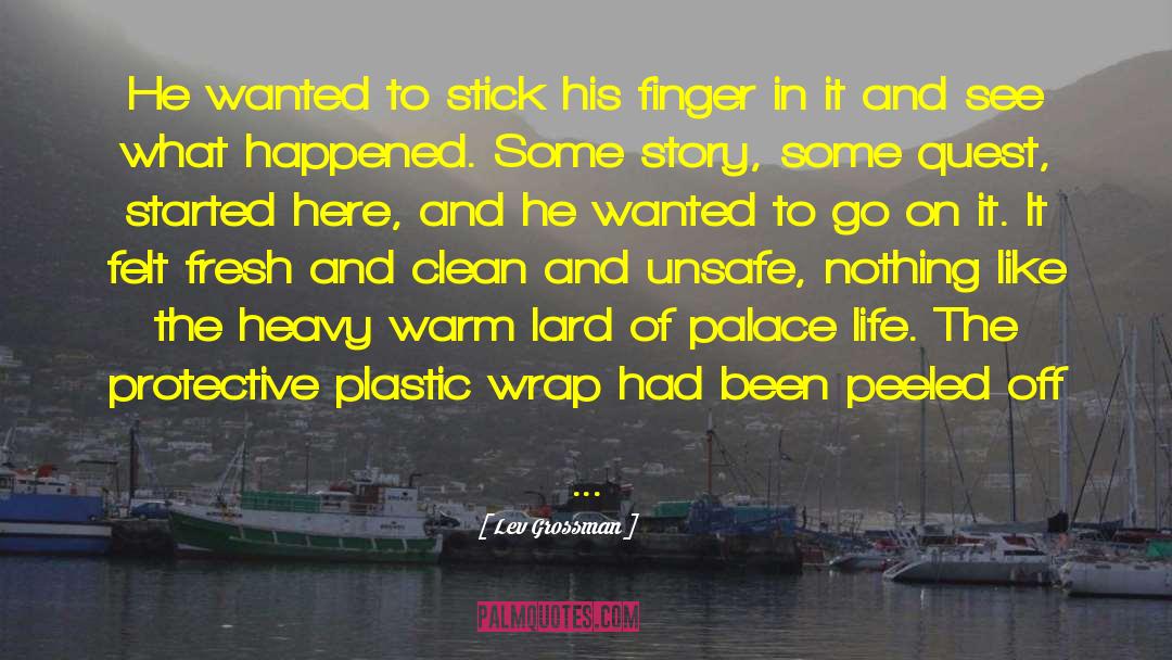 Plastic Surgeons quotes by Lev Grossman