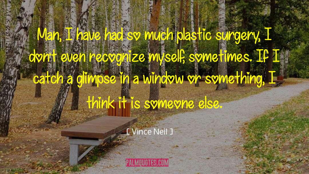 Plastic Surgery quotes by Vince Neil