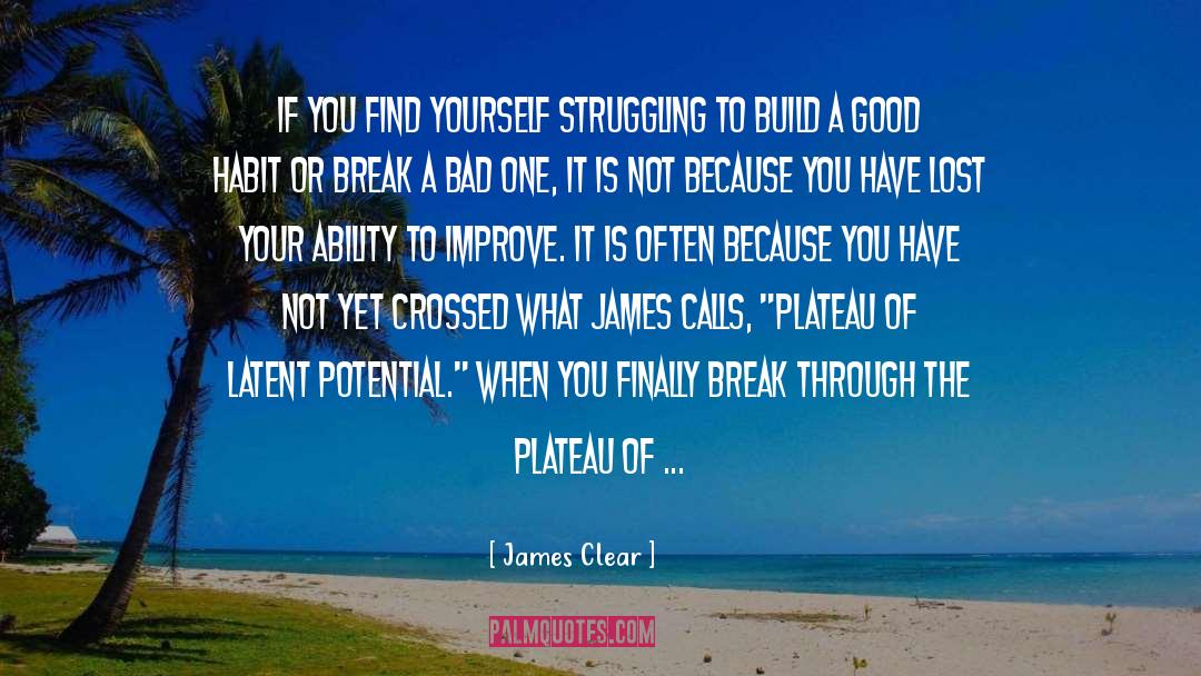 Plateau quotes by James Clear