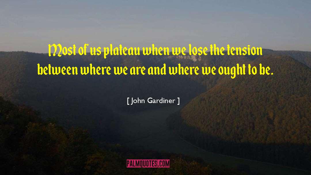 Plateau quotes by John Gardiner