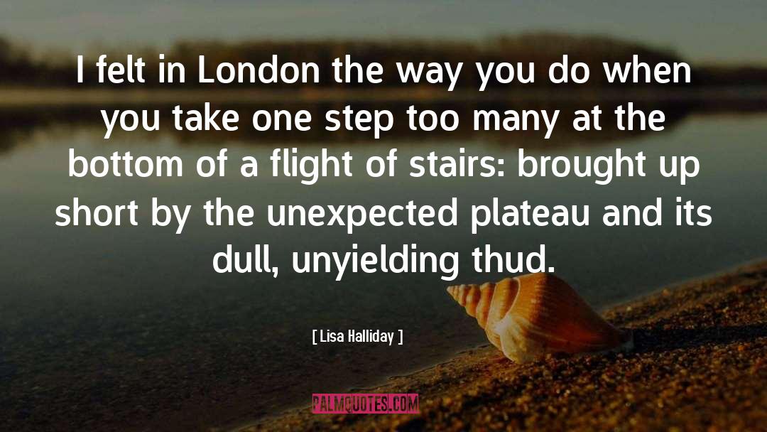 Plateau quotes by Lisa Halliday