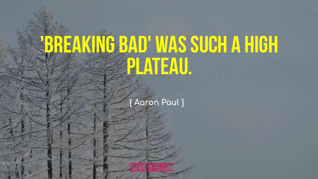 Plateau quotes by Aaron Paul