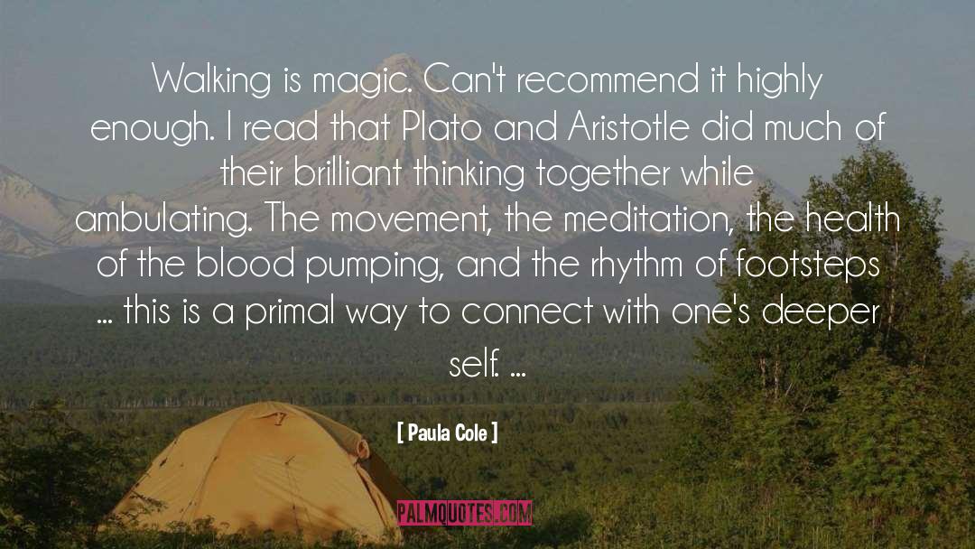 Plato And Aristotle quotes by Paula Cole