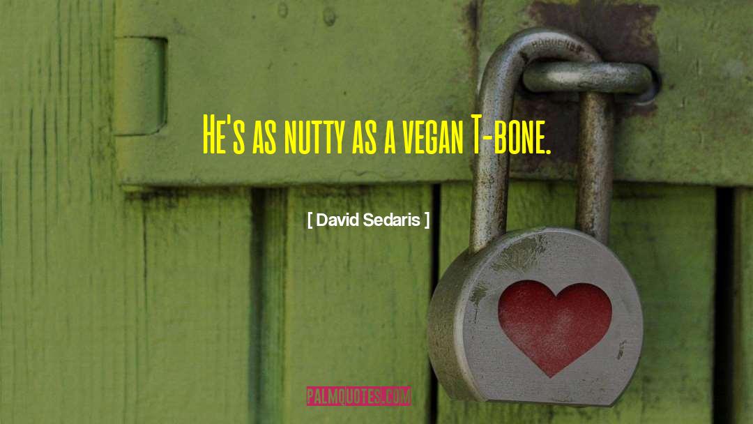 Plato Vegan Quote quotes by David Sedaris