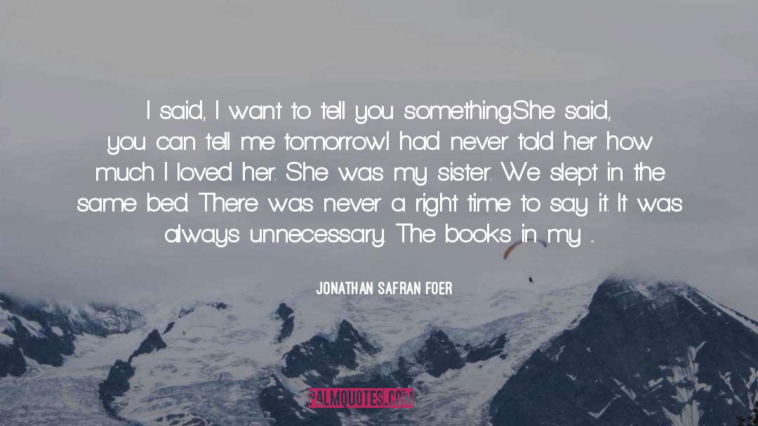 Platonic Point Sister quotes by Jonathan Safran Foer